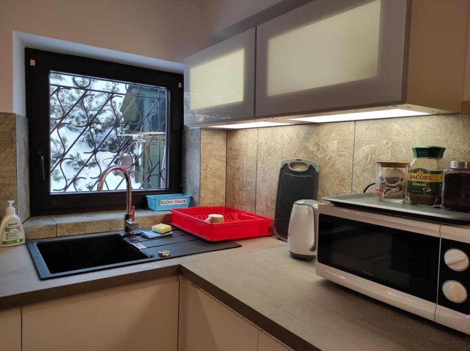 Arnika Wynajem Pokoi Apartment Zakopane Bagian luar foto