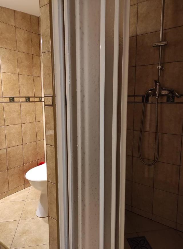 Arnika Wynajem Pokoi Apartment Zakopane Bagian luar foto