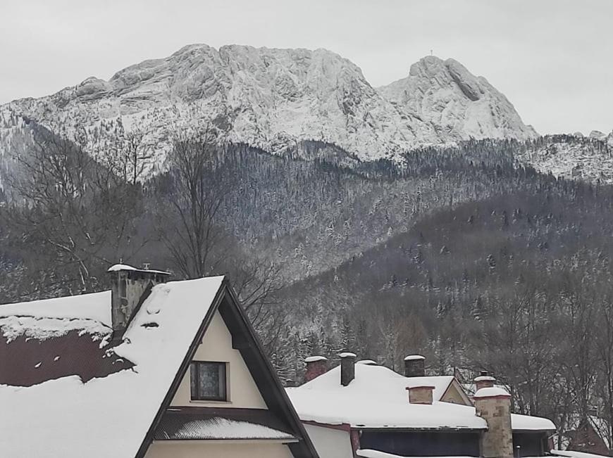 Arnika Wynajem Pokoi Apartment Zakopane Bagian luar foto