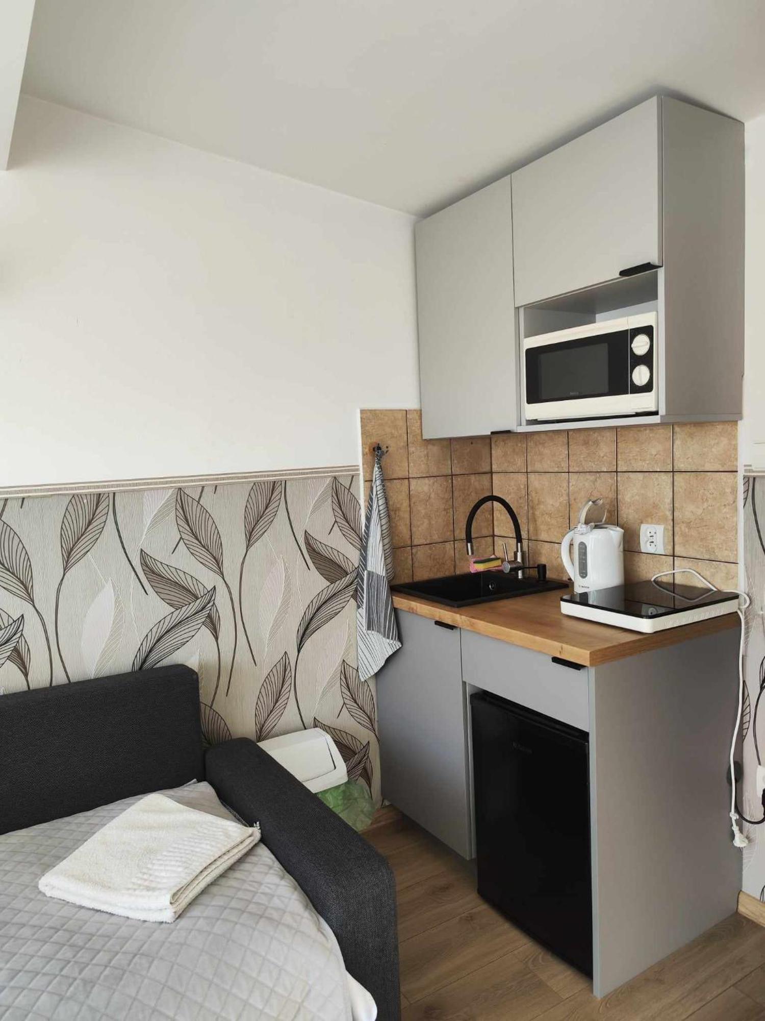 Arnika Wynajem Pokoi Apartment Zakopane Bagian luar foto