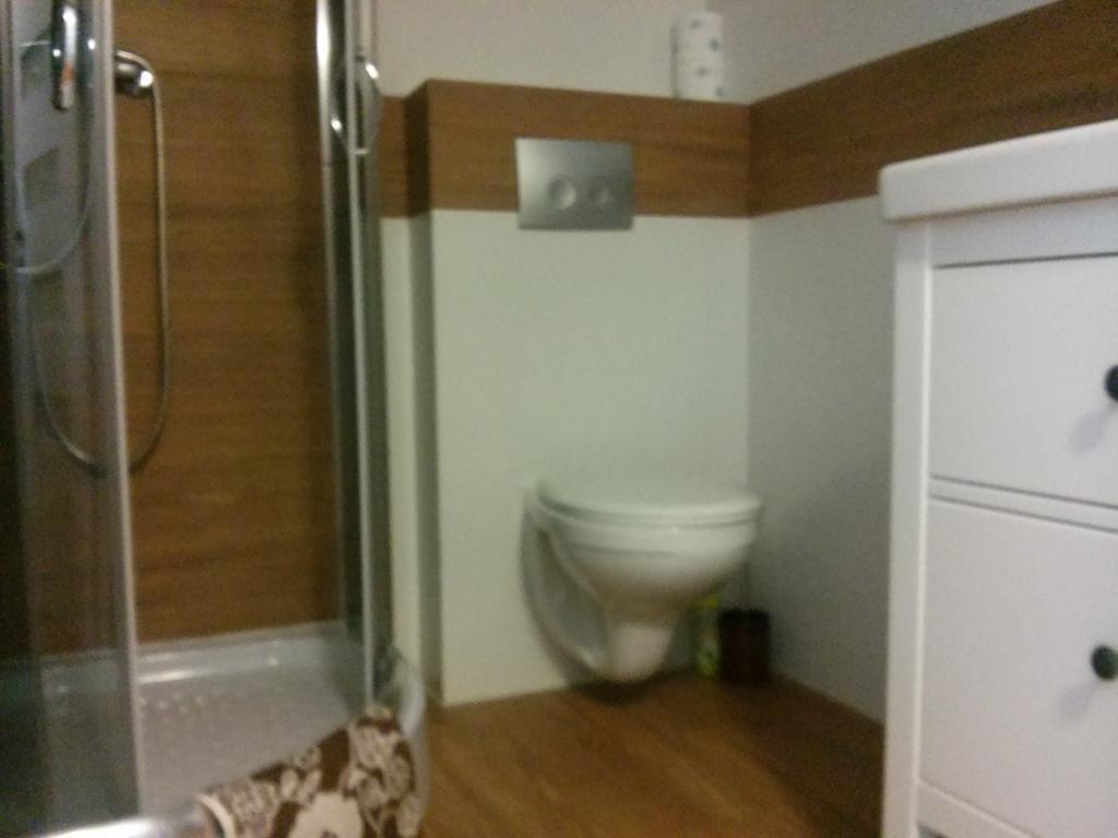 Arnika Wynajem Pokoi Apartment Zakopane Bagian luar foto