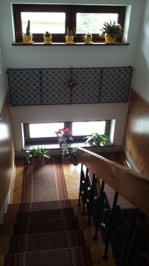 Arnika Wynajem Pokoi Apartment Zakopane Bagian luar foto