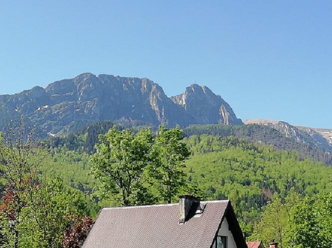 Arnika Wynajem Pokoi Apartment Zakopane Bagian luar foto