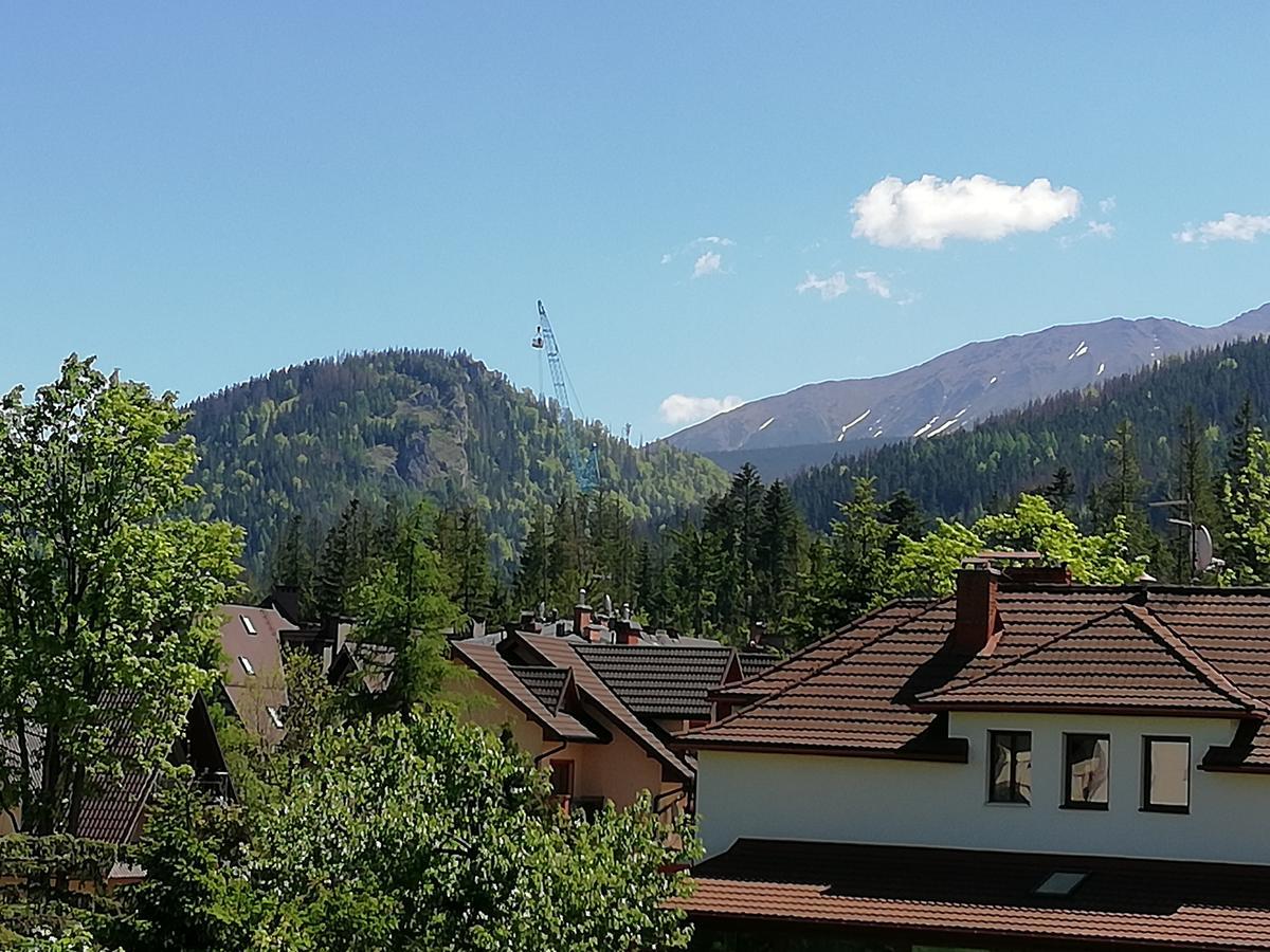 Arnika Wynajem Pokoi Apartment Zakopane Bagian luar foto